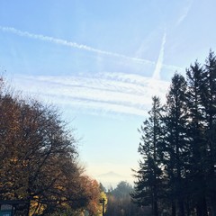 View from Council Crest toward Mt. Hood, which is visible