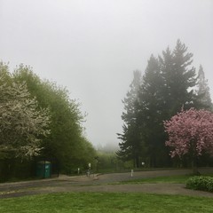 View from Council Crest toward Mt. Hood, which is NOT visible