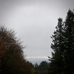 View from Council Crest toward Mt. Hood, which is visible