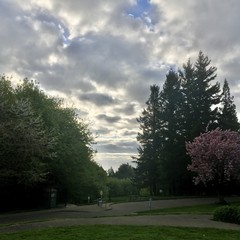 View from Council Crest toward Mt. Hood, which is NOT visible