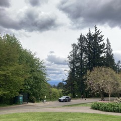 Cloudy. Cool. Gray. Green. No mountain.