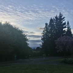 View from Council Crest toward Mt. Hood, which is NOT visible