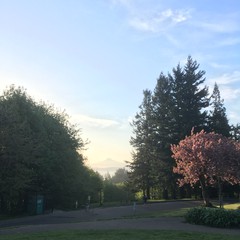 View from Council Crest toward Mt. Hood, which is visible