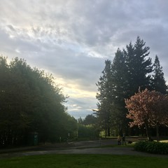 View from Council Crest toward Mt. Hood, which is visible