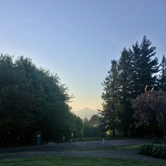 View from Council Crest toward Mt. Hood, which is visible