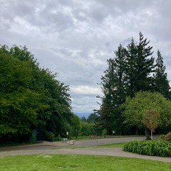 Cloudy sky and deep green vegetation. Humid and cool