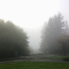 View from Council Crest toward Mt. Hood, which is NOT visible