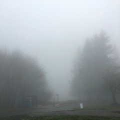 View from Council Crest toward Mt. Hood, which is NOT visible