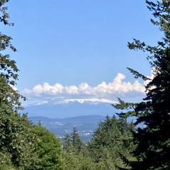 A band of low moisture laden clouds hides the peak of mt hood under an otherwise brilliant blue sky