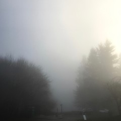 View from Council Crest toward Mt. Hood, which is NOT visible