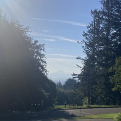 Mt. Hood visible as an outline with the late morning sun flaring into the camer