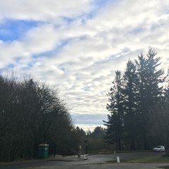View from Council Crest toward Mt. Hood, which is NOT visible