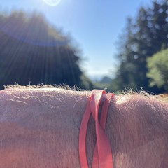View from Council Crest toward Mt. Hood, which is visible