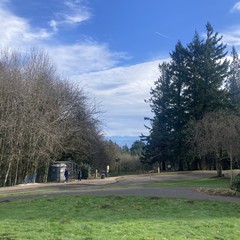 Mt. Hood on the horizon under a deck of high clouds. Blue sky immediately overhead, with a jet at very high altitude. Grass is almost atomically green