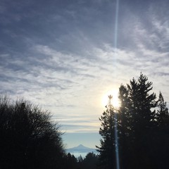 View from Council Crest toward Mt. Hood, which is visible