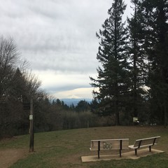 View from Council Crest toward Mt. Hood, which is visible