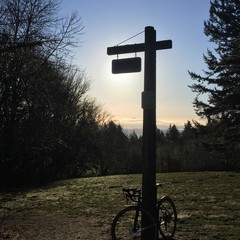 View from Council Crest toward Mt. Hood, which is visible
