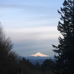 View from Council Crest toward Mt. Hood, which is visible
