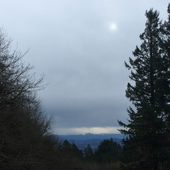 View from Council Crest toward Mt. Hood, which is visible