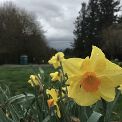 View from Council Crest toward Mt. Hood, which is NOT visible