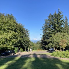 long shadows point east toward Mt. Hood on a very clear summer day