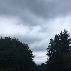 View from Council Crest toward Mt. Hood, which is NOT visible