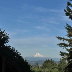 View from Council Crest toward Mt. Hood, which is visible