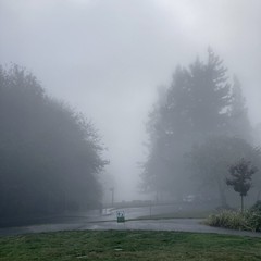 View from Council Crest toward Mt. Hood, which is NOT visible