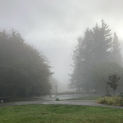 View from Council Crest toward Mt. Hood, which is NOT visible