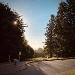 View from Council Crest toward Mt. Hood, which is NOT visible
