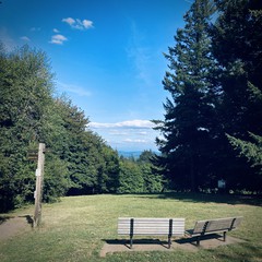 View from Council Crest toward Mt. Hood, which is NOT visible