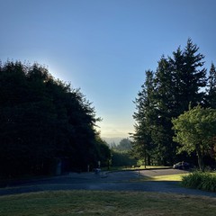 View from Council Crest toward Mt. Hood, which is visible