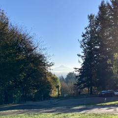 View from Council Crest toward Mt. Hood, which is visible