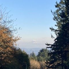 View from Council Crest toward Mt. Hood, which is visible