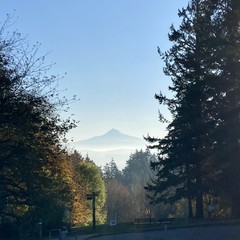 View from Council Crest toward Mt. Hood, which is visible