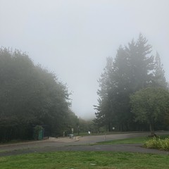View from Council Crest toward Mt. Hood, which is NOT visible