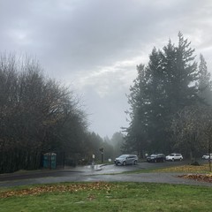 View from Council Crest Park toward Mt. Hood, which is hidden behind several layers of thick clouds. A loose mist veils trees in the near foreground.