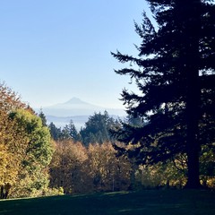 View from Council Crest toward Mt. Hood, which is visible