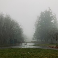 View from Council Crest Park toward Mt. Hood, which is hidden behind thick fog and a constant light rain. Despite the incredible level of dark+damp, it is not particularly cold, I am as wet from inside as outside. The photograph has been manipulated to darken shadows, to impart a sense of dank humidity.
