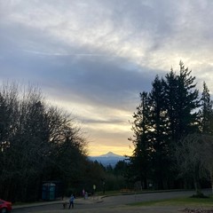 View from Council Crest Park toward Mt. Hood, which is visible under a sky of high-altitude clouds. It is about an hour after sunrise, the mountain is backlit with yellow clouds. In the near midground a person is walking their dog. The air is clear with a strong, cold east wind out of the Columbia Gorge