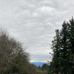 View from Council Crest Park toward Mt. Hood, the base of which is visible. A thick layer of wooly, undulating stratus clouds extends from overhead to almost the eastern horizon. This layer of clouds obscures the top of Mt. Hood. The snowline of Mt. Hood is visible; behind the mountain is clear sky yellow with the sunrise. The hills in the distance (in front of the mountain) are deep blue with all the moisture in the air.