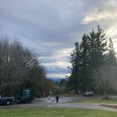 View from Council Crest Park toward Mt. Hood, which is not visible behind many layers of low, dark clouds. A particularly heavy raincloud has just passed overhead. Rays of sunlight reflect shine around this cloud, and through rain falling in the far distance. The air feels scrubbed clean. Tall Douglas fir trees in the right near midground are bent northward under a warm, damp southerly wind