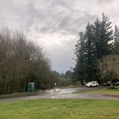 View from Council Crest Park toward Mt. Hood, which is veiled by an almost uniform distribution of light rain in the intervening distance. Sky overhead is similarly uniform except for ragged wisps of fog blowing slowly over the top of the hill. The air is seasonably temperate (50°F) and damp, the kind of cool marine air in which odors travel long distances
