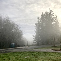 View from Council Crest Park toward Mt. Hood, which is not visible through many layers of fog and mist. It is not actually *cloudy* per se, the moisture in the air is clinging to the valley and rising just above Council Crest.