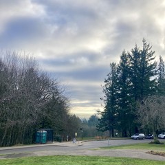 View from Council Crest Park toward Mt. Hood, which is not visible. A thin deck of clouds hangs low overhead, which shines with a blue light of the clear sky above. Sunlight illuminates similar clouds in the far distance. Over a line of trees about a half mile distant rises a puff of steam from the power plant at OHSU (which is downslope & not visible from here)