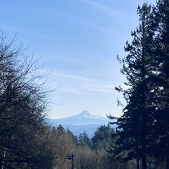 View of Mt. Hood from Council Crest Park, cropped so that foreground objects are mostly out of frame. The air is exceptionally cold and clear. Mt. Hood is brilliant with snow, and the intervening hills are clearly defined.