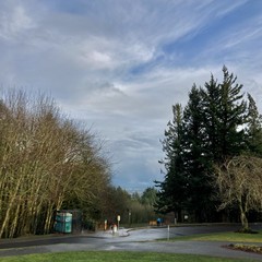 View from Council Crest Park toward Mt. Hood, which is not visible behind many layers of low, wet, rain-heavy clouds. There is a clear patch of sky overhead and thin rays of sunlight illuminate the near foreground from behind. (We are facing east and it is near sunset)