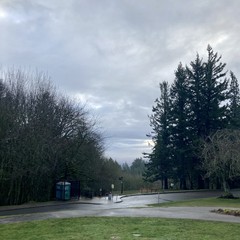 View from Council Crest Park toward Mt. Hood, which is obscured by many layers of rainclouds. How many times can I describe THIS. EXACT. scene? Despite the rain the air is clear to several miles
