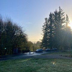 View from Council Crest Park toward Mt. Hood, under a clear sky. It is about an hour after sunrise and the eastern light shine through mists and low clouds between us and the mountain, the very tip of which is visible