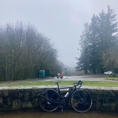 View from Council Crest Park toward Mt. Hood, which is obscured by fog and rain, limiting visibility to only a few hundred feet. In the midground a couple in raincoats are walking their two beautiful border collies across the road to the off-leash area. In the foreground my bicycle leans against the low decorative wall.